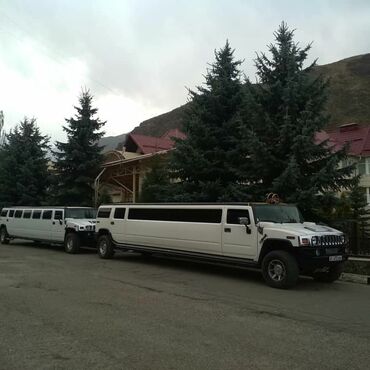 аренда машины киргизия: По городу Лимузин | 17 мест