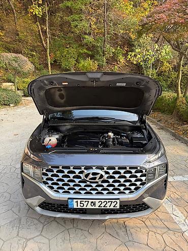 Hyundai: Hyundai Santa Fe: 2020 г., 2.2 л, Автомат, Дизель, Кроссовер — 10