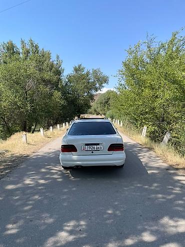 m5 e60: Mercedes-Benz E-Class: 2000 г., 4.3 л, Автомат, Бензин, Седан — 9