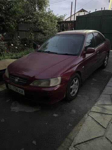 шины каракол: Honda Accord: 2002 г., 2 л, Типтроник, Бензин