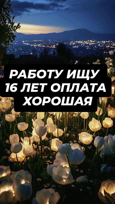 работа на дому вышивка бисером бишкек: Подойдет любая работа срочно надо работа