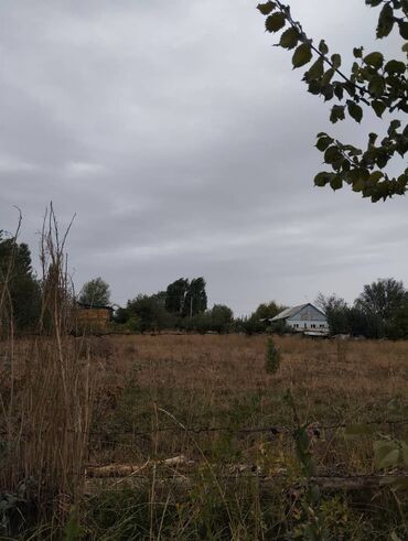 Продажа участков: 8 соток, Для сельского хозяйства, Красная книга — 5