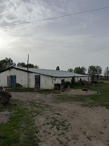 орошаемое земля: Продаётся участок с хоз двором в городе Каракол, улица Масанчы, свет — 4