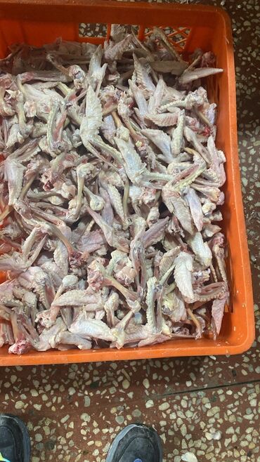 Yemlər: It yemi. Toyuqun Qabirga ve Bud sumuyu, Toyuq farji. Toyuq qanad -da lalafo.az — 6 Yemlər: It yemi. Toyuqun Qabirga ve Bud sumuyu, Toyuq farji. Toyuq qanad — 6