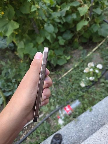 iphone 11 gold: IPhone 16 Pro, 128 GB, Desert Titanium, Face ID — 4
