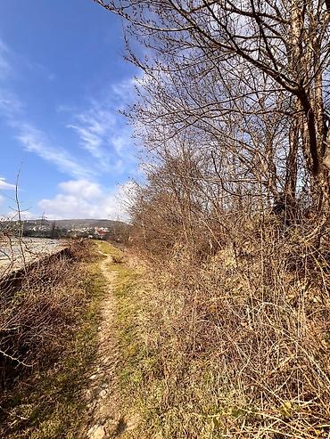 Torpaq sahələrinin satışı: Kənd təsərrüfatı -da lalafo.az — 3 Torpaq sahələrinin satışı: Kənd təsərrüfatı — 3