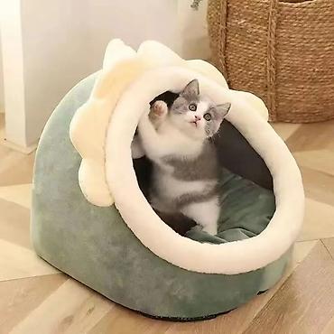котята простые: 🐱 Домик для кошки — 1990 сом Уютный и удобный домик для вашего питомца — 5
