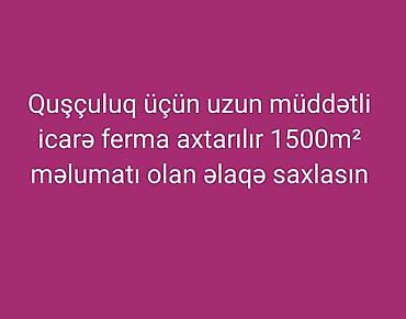 купить кур: İcarə üçün quşçuluq ferması axtarılır 1500m² — 1