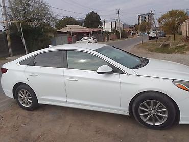косилка бензиновая: Hyundai Sonata: 2019 г., 2.4 л, Автомат, Бензин, Седан — 3
