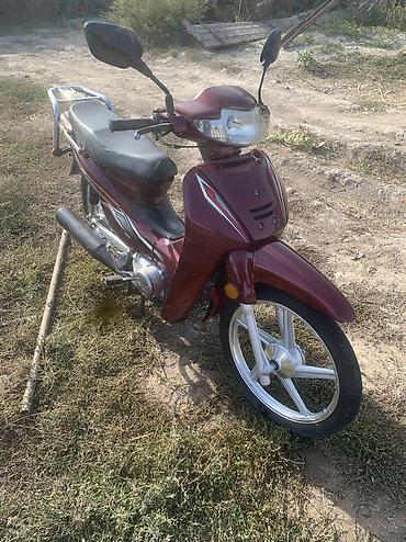 задаю: Продам мопед-скутер класса Cub (тип Honda Super Cub/Delta) в бордовом — 10