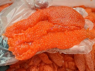 фарель живой: Жаңы кармалган, 1 кг, 2 кг, 3 кг, Өзү алып кетүү