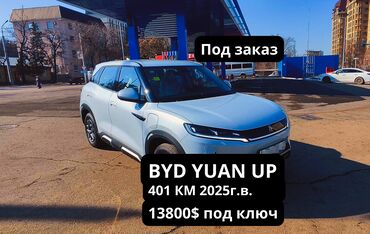 BYD: BYD Yuan Up комплектация vitality цвет кузова серый и белый, запас