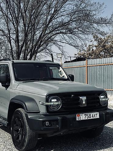 Tank: Tank 300: 2022 г., 2 л, Бензин — 2