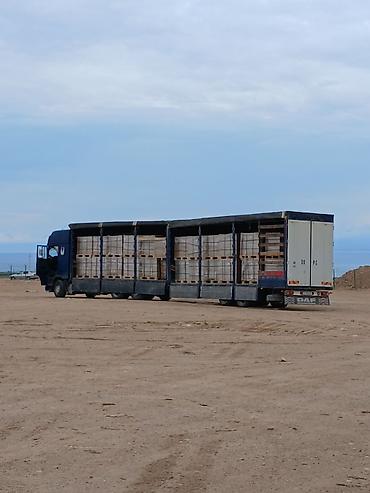 trailer: DAF XF Горный Ритарда 126 куб 5 ось — 2