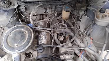 Audi: Audi 100: 1989 г. — 6