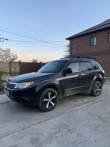 Subaru: Subaru Forester: 2009 г., 2.5 л, Механика, Бензин, Внедорожник