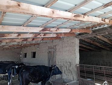 Продажа коттеджей и домов: Продажа коттеджей и домов — 6