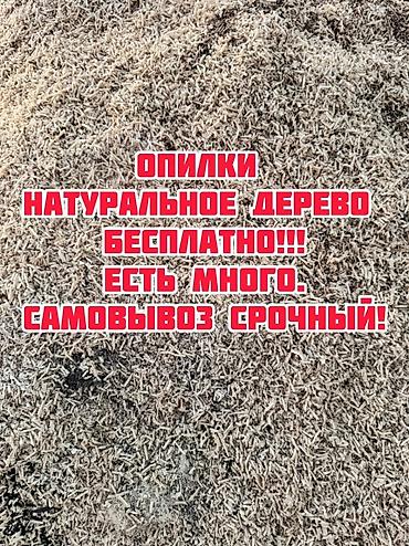 Опилки из натурального дерева. - Бесплатно - Объем большой — опилок