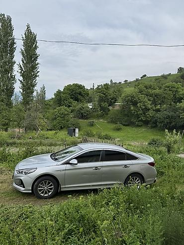 sonata: Hyundai Sonata: 2021 г., 2 л, Автомат, Газ, Седан — 3