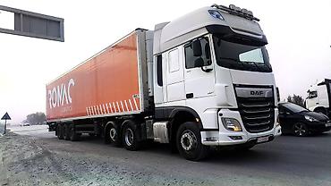 814 d: Тягач, DAF, 2020 г., Холодильник, рефрижератор — 3