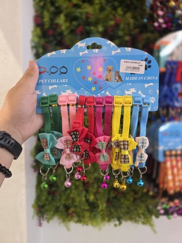 Xaltalar, qayışlar və tasmalar: Pişik və mini itlər üçün boyunbağılar. Taksilə çatdırılma xidmətimiz — 18