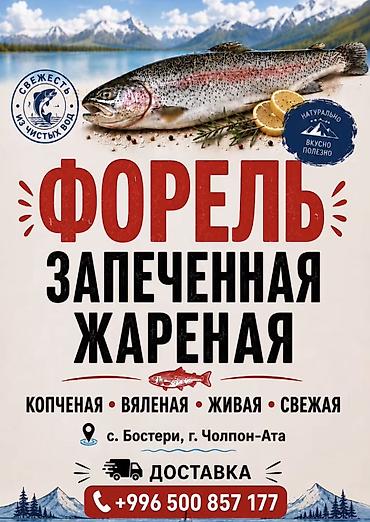 декоративная рыба: Форель из чистых вод — натурально, вкусно и полезно. Виды — 1
