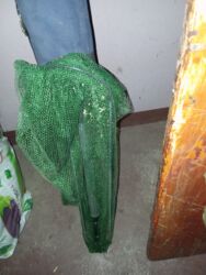 Ostali predmeti za umetnost i kolekcionarstvo: Menjam sve iz oglasa za detektor od 350 evra . imate tri profi — 5