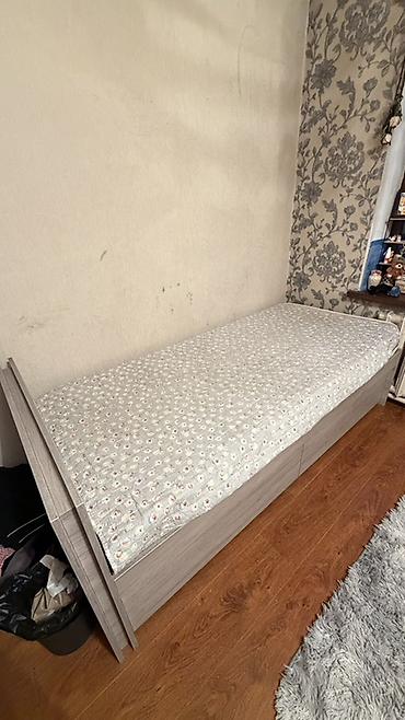 кофейное дерево купить: 🛏️ Продаю кровать вместе с матрасом! Причина продажи переезд — 4