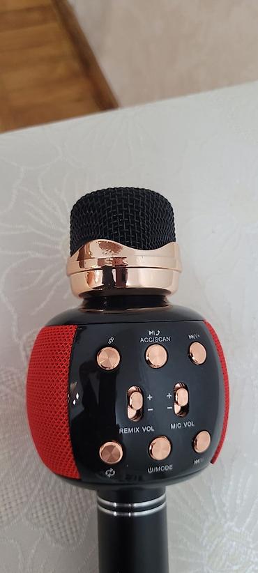 mikrofon: Məhsul: Portativ karaoke mikrofonu və Bluetooth dinamik (WSTER, Model — 2