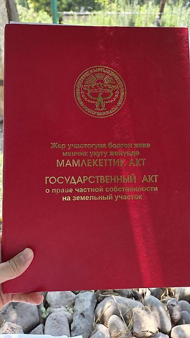 участки кызыл ту: 70 соток, Красная книга — 1