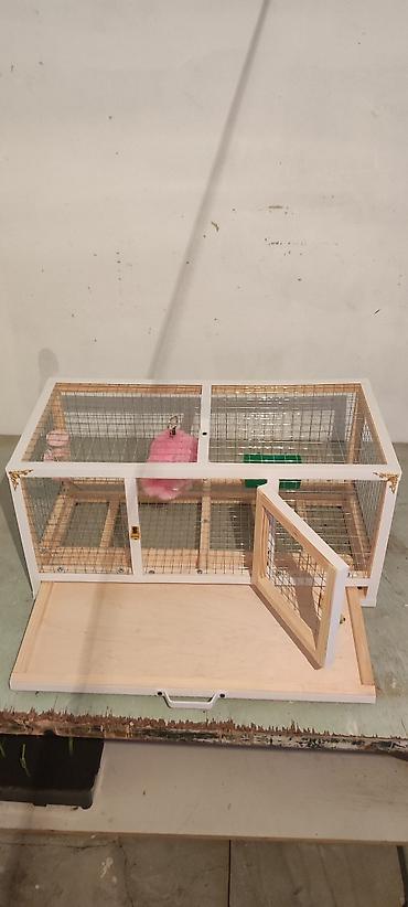 dovsanlar: Dovşan,cücə,pişik,hamster,quş ve s kimi ev heyvanlari üçün qəfəsler — 5