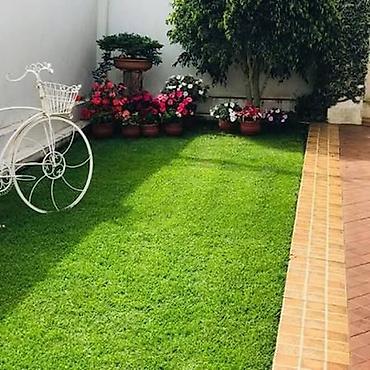 Газон: Искусственная трава (газон в рулонах) - Назначение: ландшафтный — 2