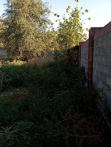 модулный домик: Срочно продается дом в районе дордой моторс. дом с ремонтом .псо — 6