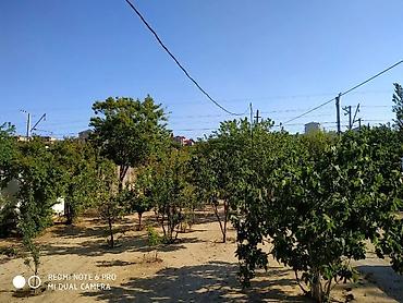 goradil: 10 sot, Mülkiyyətçi, Kupça (Çıxarış) — 1