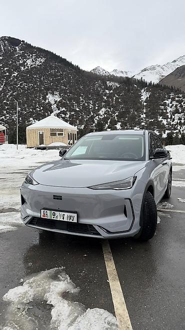 Geely: Geely : 2025 г., Электромобиль, Кроссовер — 7