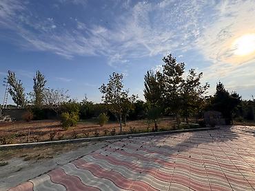 Torpaq: 4 sot, Mülkiyyətçi, Kupça (Çıxarış) — 5