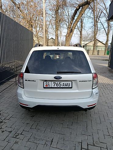 forester 2022: Subaru Forester: 2008 г., 2.5 л, Автомат, Бензин, Кроссовер — 7