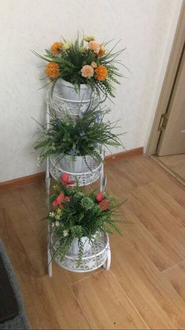 комнатные растение: Продаю подставку для цветов и душевую кабину. Цена договорная