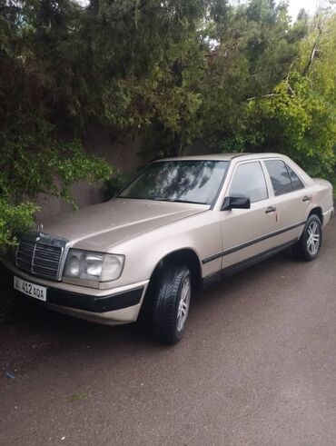 mercedes gl: Mercedes-Benz W124: 1989 г., 2.6 л, Автомат, Бензин