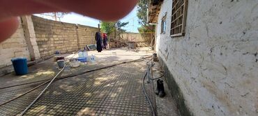 Həyət evləri və villaların satışı: Sahəsi geniş, yaşıllaşdırılmış həyəti olan bina. Həyətdə ağaclar -da lalafo.az — 9 Həyət evləri və villaların satışı: Sahəsi geniş, yaşıllaşdırılmış həyəti olan bina. Həyətdə ağaclar — 9