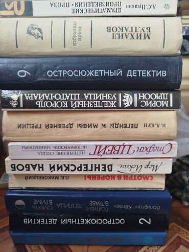 биндеры 17 листов для дома: Книги 50 сом