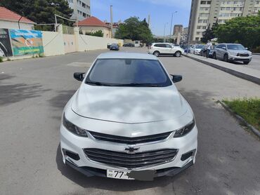 kamaz çəni: Chevrolet Malibu: 1.5 л | 2016 г. | 310 км Седан