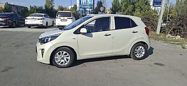 автокредит на бу авто бишкек: Kia Morning: 2019 г., 1 л, Автомат, Бензин, Хетчбек — 2