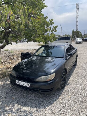 отдам не дорого: Toyota Windom: 1996 г., 2.5 л, Автомат, Бензин, Седан