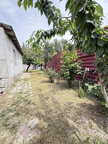 4: Вот более аккуратно и привлекательно оформленное объявление: 🏡 — 3