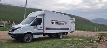 rex sprinter: Грузовые перевозки на Mercedes-Benz Sprinter (фургон будка) - Тип — 5