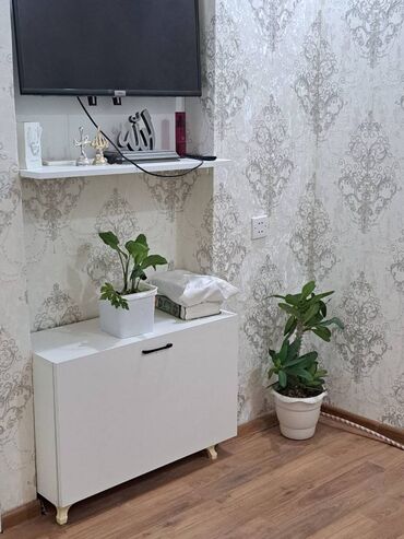 Həyət evləri və villaların satışı: Binəqədi qəs. 1 otaqlı, 50 kv. m, Yeni təmirli — 4