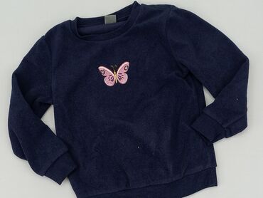 sweter bezrękawnik dziecięcy: Bluza, Little kids, 3-4 lat, 98-104 cm, stan - Dobry