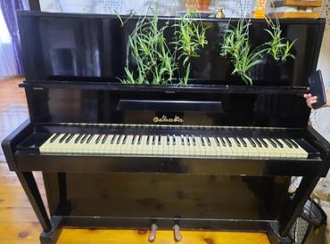 Pianolar: Piano, Akustik, İşlənmiş, Ünvandan götürmə