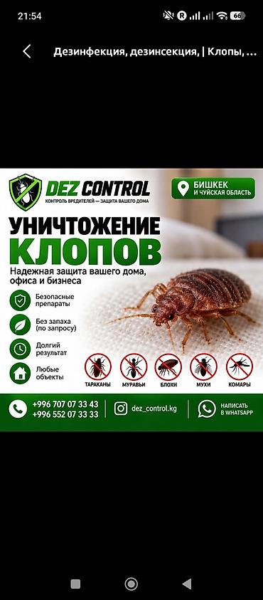Дезинфекциялоо, дезинсекциялоо: Дезинфекциялоо, дезинсекциялоо, | Таракандар, | Батирлер — 6